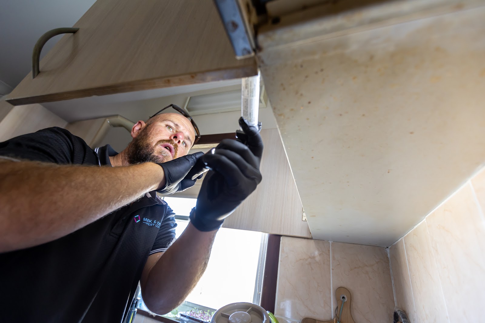 A technician applies gel bait beneath a kitchen cupboard
